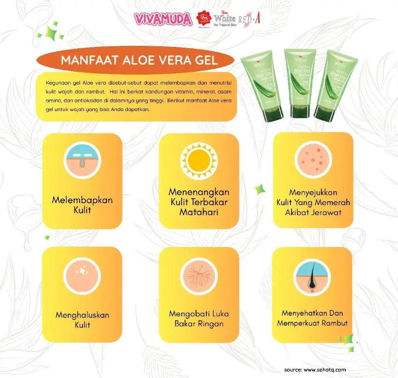 Aloe Gel Serbaguna yang Wajib Kalian Coba!